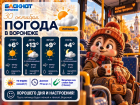 Дожди приближаются: прогноз погоды в Воронеже