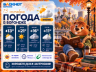 Солнышко спряталось: прогноз погоды в Воронеже