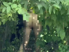 Голопопый извращенец прогулялся перед общагой журфака ВГУ на видео