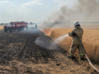 Пламя уничтожило 2 гектара пшеничного поля в Воронежской области
