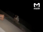  Видео с экстремальным спуском ребенка с балкона в Воронеже назвали фейком