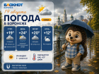 Лето не спешит уходить: прогноз погоды в Воронеже