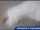 Кровавый скандал на заводе под Воронежем породил три параллельных реальности 