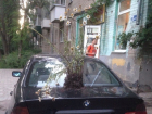 Автомобилистов рассмешил цветочный тюнинг BMW в Воронеже