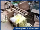 Воронежский лес превратился в мусорку с неприятным запахом ацетона