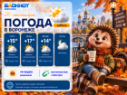Воронеж накрывает осенняя хандра: прогноз погоды