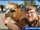 Как проходит фестиваль альпак под Воронежем