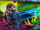 Воронежцев восхитило нереальное граффити совы в «Олимпике»
