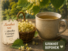 Почему 4 июля нельзя рубить липу и кому помогает липовый цвет