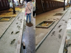 Перлы строителей: грубый ляп при залитии бетона заметили в центре Воронежа