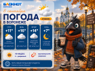 Борьба осени и лета: прогноз погоды в Воронеже