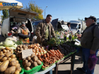 Запретный плод: незарегистрированные семена моркови и перца продавали в Воронежской области