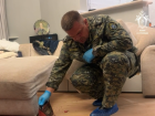 Схрон оружия и два тела: что известно о деле задержанного в Воронежской области