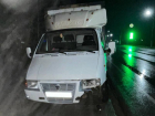 Водитель «ГАЗели» насмерть сбил тамбовчанина в Воронежской области