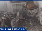  Потолок рухнул в квартире заслуженного строителя России в Воронеже 