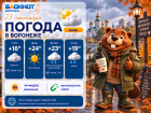 “Да и на небе тучи”:прогноз погоды в Воронеже 