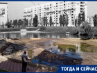 Раскрываем историю появления Лебединого озера на Минской в Воронеже