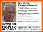 80-летний пенсионер поехал в магазин и пропал без вести в Воронежской области