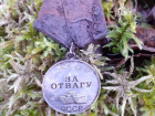 Обнаружена медаль воронежца, который сражался за свободу Эстонии от нацизма