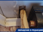 Воронежцев так замучило невнимание коммунальщиков к стояку, что они просят вмешаться прокуратуру 