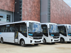 Новые автобусы закупили для воронежских маршрутов