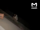 Воронежская прокуратура начала проверку после видео с экстремальным спуском ребенка с балкона