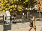 Литературный некрополь с могилами Кольцова и Никитина приведут в порядок в Воронеже