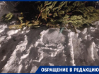 Горькое послевкусие новогоднего бизнеса показали в Воронеже 