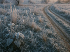 Когда в Воронеж придут заморозки, рассказал главный метеоролог региона 