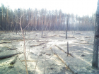 Чертову дюжину лет назад огненная стихия едва не сделала пустыню из Воронежской области