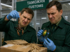 Таможенники не оценили партию кушаний «не для всех», отправленную из Таиланда в Воронеж
