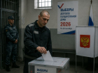 Порядок голосования на выборах в Госдуму для арестантов определил воронежский избирком