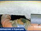 Подпрыгивание каки на трубе сняли недовольные коммунальщиками воронежцы