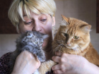 Воронежская преподавательница приютила у себя в квартире 33 бездомных животных