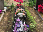 О разграблении могилы родственника рассказала жительница Воронежской области
