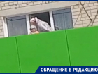 Воронежцы показали, как обхитрить режим самоизоляции для прогулки 