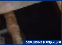 Путь в коммунальную преисподнюю показали на видео в Воронеже