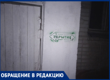 «Когда закончится этот беспредел?» Подвальную трясину с комарами показали в Воронеже 