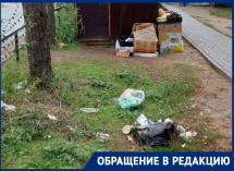 Неприглядные последствия нашествия киосков показали на фото в Воронеже