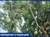 Опасность продолжает нависать над воронежцами во дворе с проткнутой машиной 