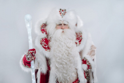 Заказ Деда Мороза в Воронеже