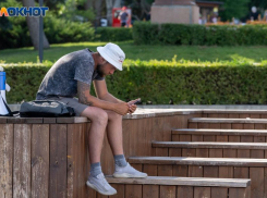 Социологи назвали самый популярный мессенджер среди воронежцев