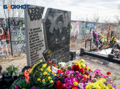 Читатели «Блокнот» выбрали район для установки памятника Хою в Воронеже 