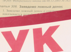 За ложный донос житель Воронежской области приговорен к обязательным работам