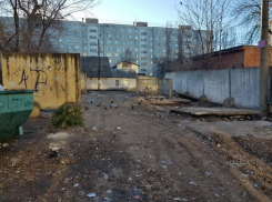 Воронежские власти разделались с мусорным апокалипсисом около детской площадки