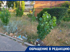 Позорную мусорку под окнами БСМП воронежцы записали на видео