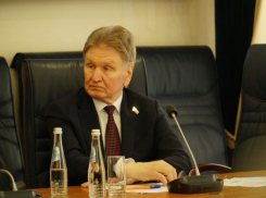 Мошенники создали фейковый аккаунт спикера Воронежской гордумы Владимира Ходырева