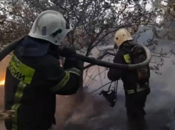 На помощь летит вертолет: сухая трава стала причиной мощного пожара под Воронежем