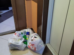 Соседа-хитреца засняли на видео в Воронеже