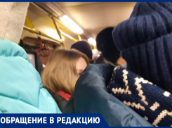 К чему привела мэрская оптимизация общественного транспорта, показала жительница Воронежа 